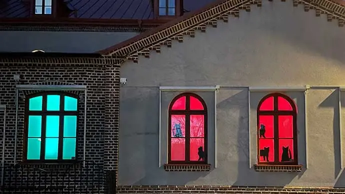 Genom fönstren lyser rött och turkost ljus och i fönstren syns svarta siluetter av katter.
