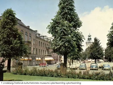Varbergs stadshotell, historisk bild från 1960-talet. Stadshotellets stora tegelfasad till vänster i bild. Flera stora träd kantar torget. Några tidsenliga bilar står parkerade.
